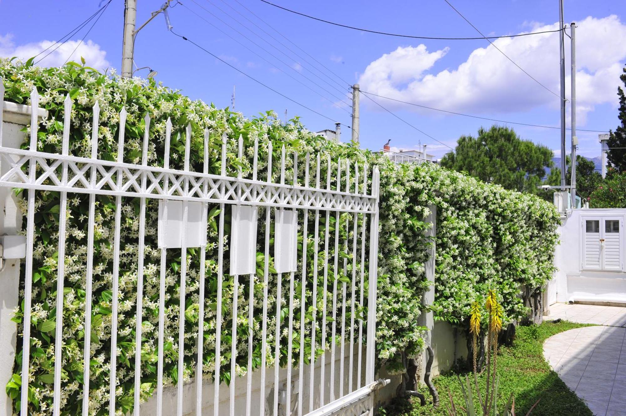 Peloponeese Corinthos Seaside Villa For Short Rent Екстериор снимка
